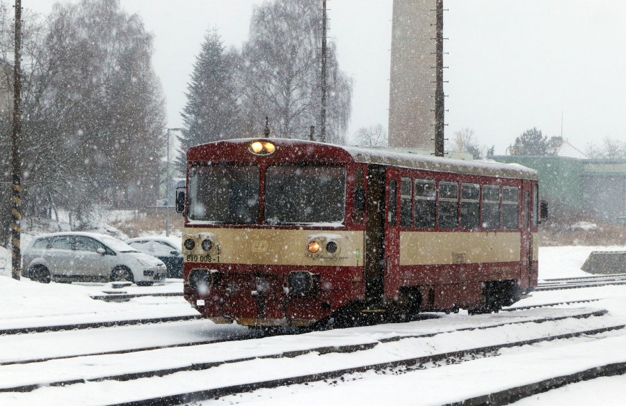 810 009-1